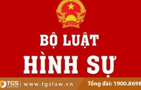 Hình sự – Luật sư bào chữa